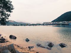 -中环4号渡轮码头