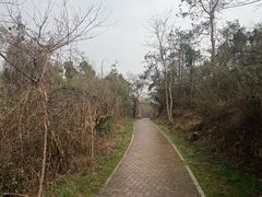 -青龙山国家森林公园