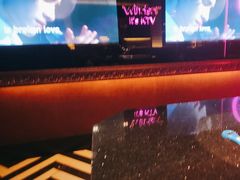 -温莎KTV(珠江路店)