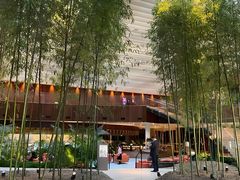 -北京望京凯悦酒店The Lounge大堂酒廊