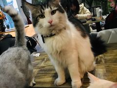 -小时光咖啡馆(北锣鼓巷店)