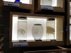 -青岛海底世界-水族馆