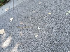 -华侨城湿地公园