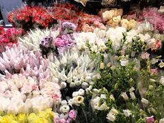 -循礼门鲜花花市(武汉循礼门店)