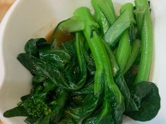 油菜-聚荣饺子店