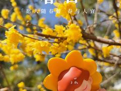 -月坛公园