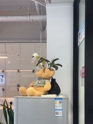 -LJOY丽锦造型·烫发染发