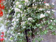 -老门东历史文化街区