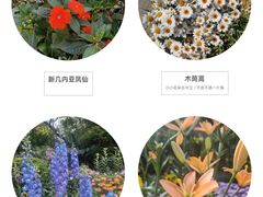 -深圳市中科院仙湖植物园