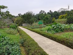 -广西壮族自治区药用植物园