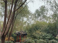 -北坞公园