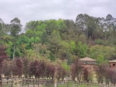 -黄龙溪欢乐田园