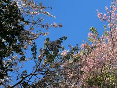 -火炉山森林公园