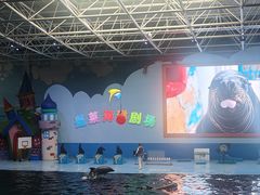 -蓬莱欧乐堡海洋极地世界