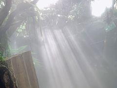 -南通洲际绿博园