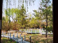 -元大都城垣遗址公园