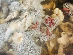 -年记·兴顺斋 牛街清真熟食小吃店