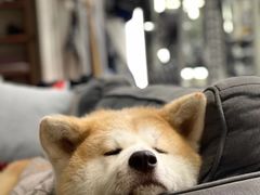 -YCHL Studios健身工作室(市二宫店)