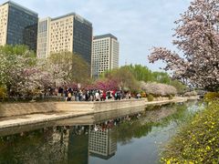 -元大都城垣遗址公园