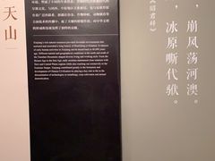 -北京大学赛克勒考古与艺术博物馆