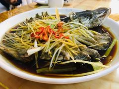 -煲来饱去冷水鱼