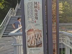 -佛山华盖山公园