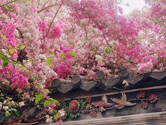 -深圳国际园林花卉博览园