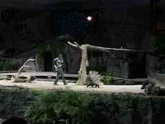 -夜间野生动物园