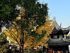 -八大山人梅湖景区