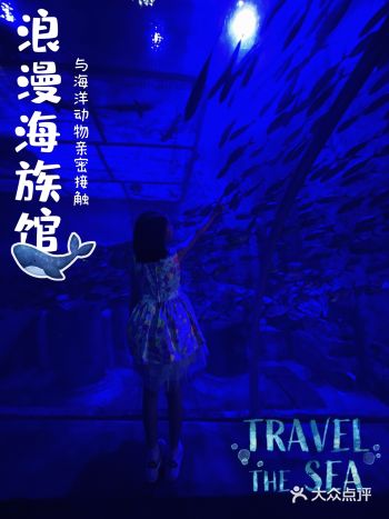 暑假亲子游好去处｜正佳极地海洋世界