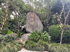 -福建鲤鱼洲酒店