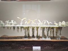 -大连自然博物馆