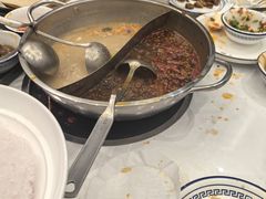 -小叫驴养生驴肉火锅(龙游店)