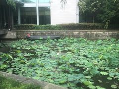 -绍兴鉴湖君澜大酒店