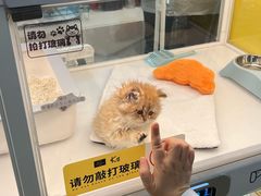 -万达广场(宝山店)