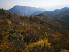 -大岭沟猕猴桃谷风景区