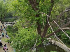 -白水寺森林公园