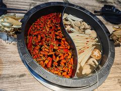 -销魂美蛙鱼头火锅(上海首店)