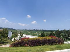 -彩色沙林风景区