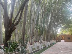 -艾提尕尔清真寺