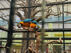 -北京野生动物园