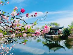 -无锡蠡湖国家湿地公园-蠡园