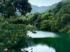 -午潮山国家森林公园