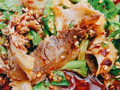 -马记清真肺片(玉林中横巷)
