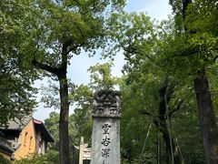 -灵谷景区