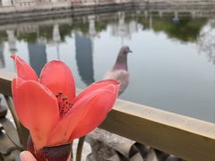 -南普陀素菜馆