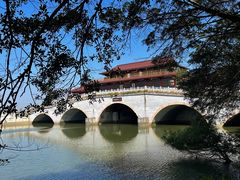 -大湾区中央湿地公园