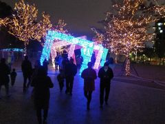 -飞凤山奥体公园