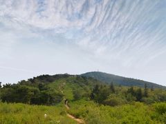 -阳台山自然风景区