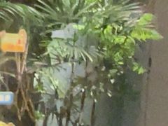 -漫·汤泉